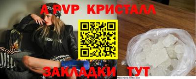 шишки Донской