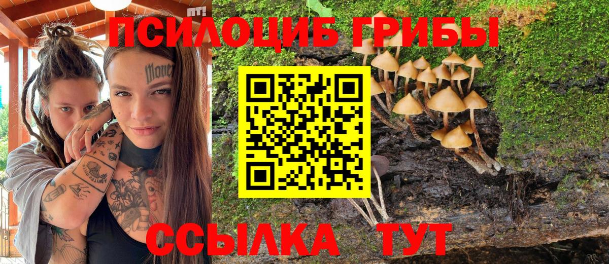 Псилоцибиновые грибы мицелий  Вход с VPN  Лыткарино 