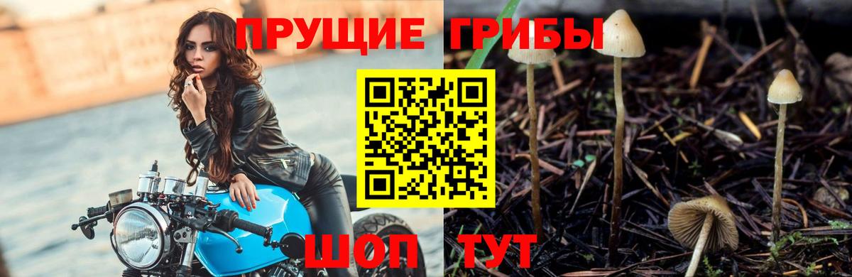 Галлюциногенные грибы GOLDEN TEACHER Лыткарино